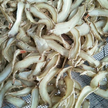 天麻片，都是野生的，