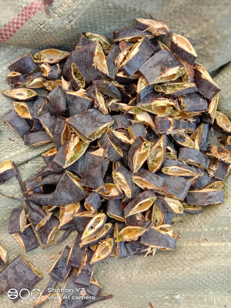 天然野生大皂角皮，大皂角粉