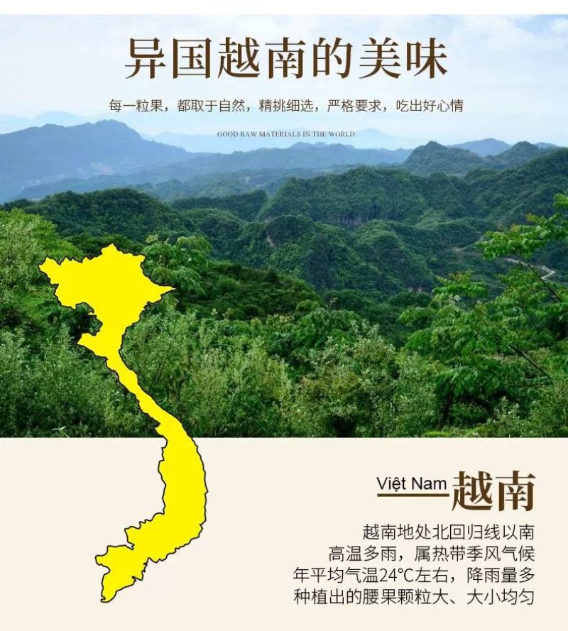 【一件代发】越南超大紫皮大腰果3盒盐焗特产