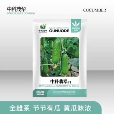 中科翡翠旱黄瓜种子，强雌大刺溜，节节有瓜，清香爽口