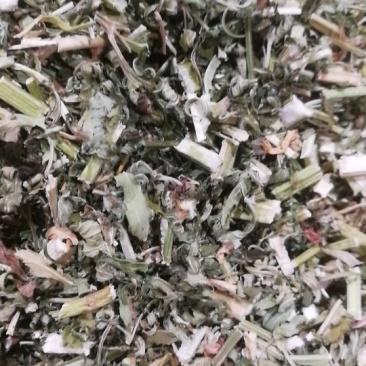 益母草