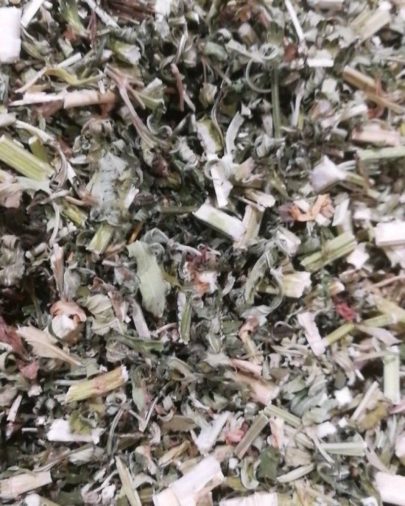 益母草