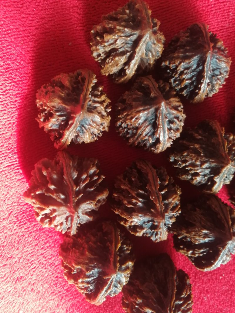 核桃，山核桃，秋子核桃工艺品核桃东北野生山核桃