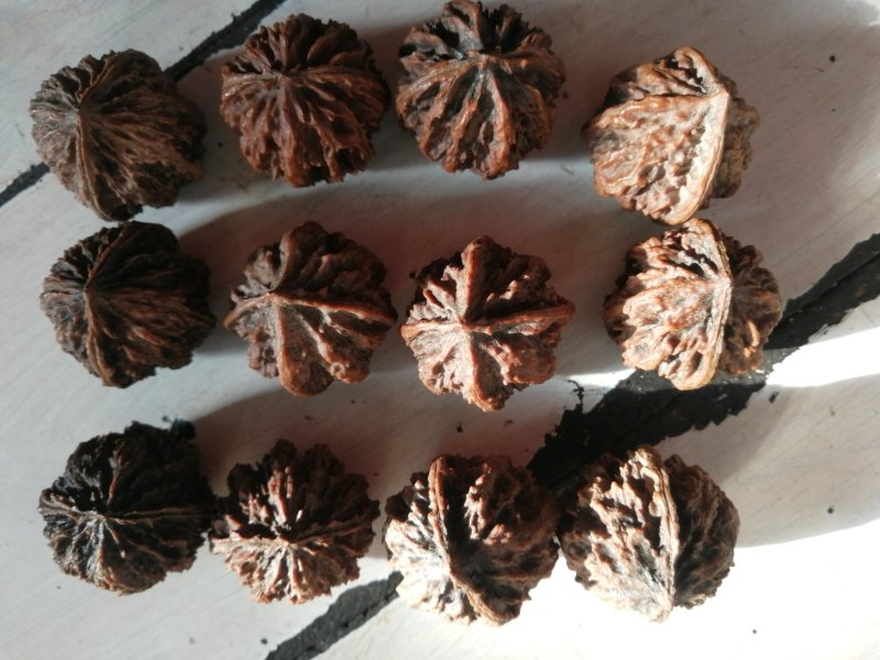 核桃，山核桃，秋子核桃工艺品核桃东北野生山核桃