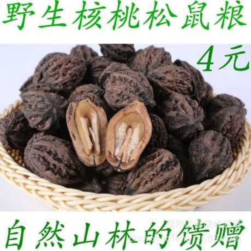 东北野生山核桃，厚皮秋子核桃，陈核桃，大量批发1元