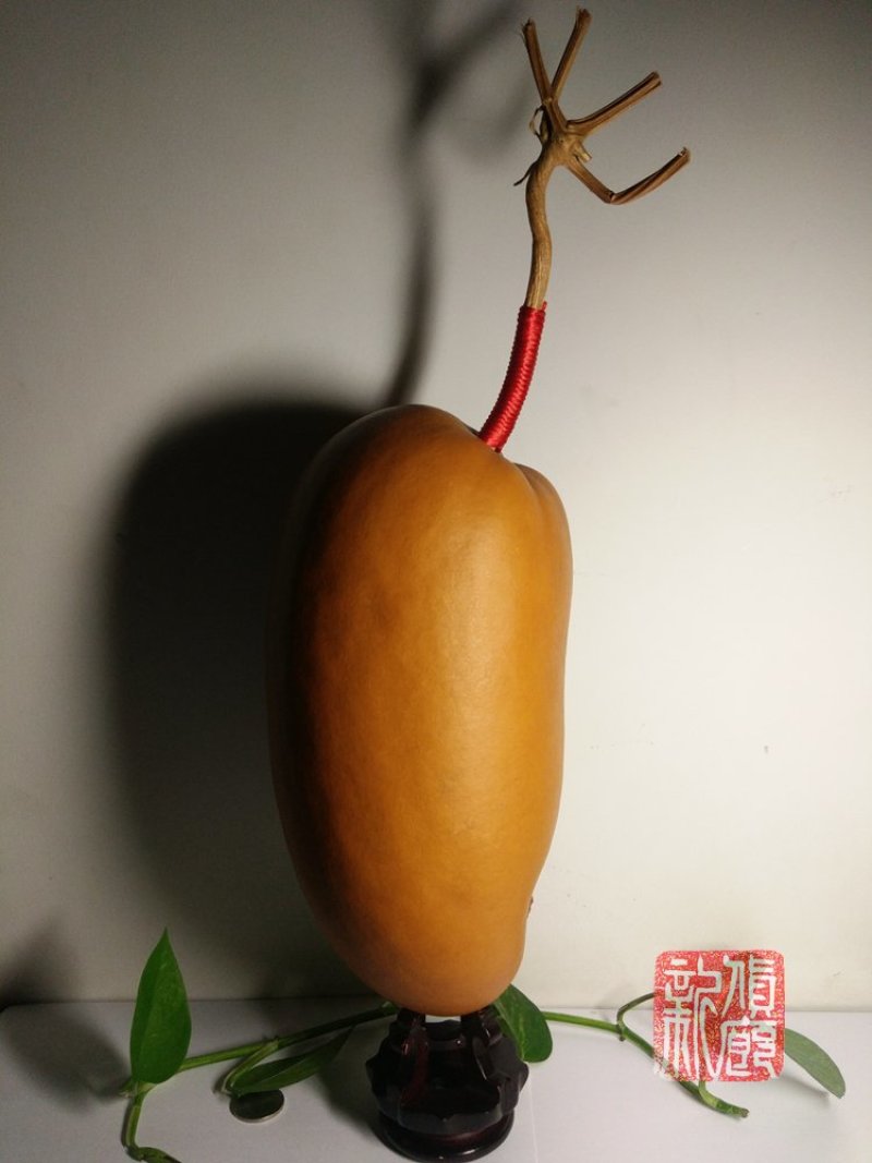 新货廊精品葫芦