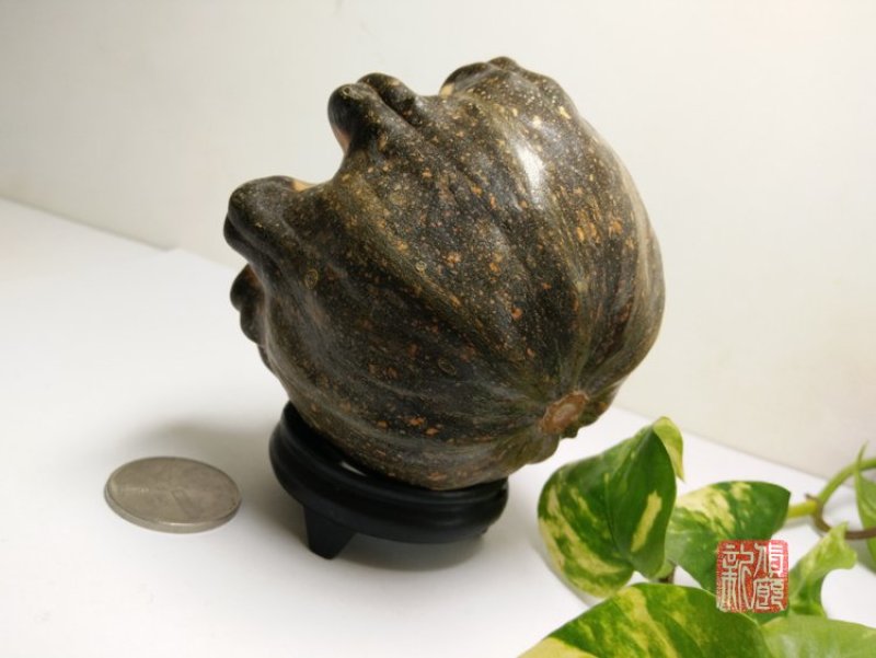 新货廊精品葫芦