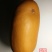 新货廊精品葫芦