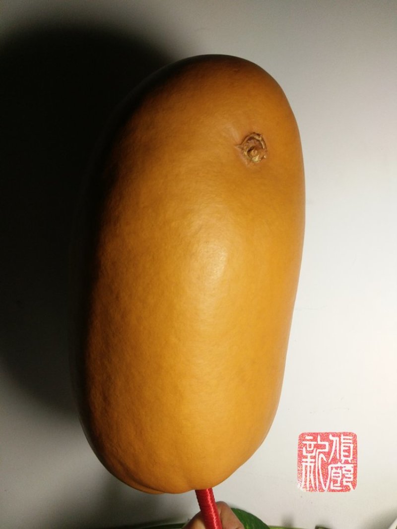 新货廊精品葫芦