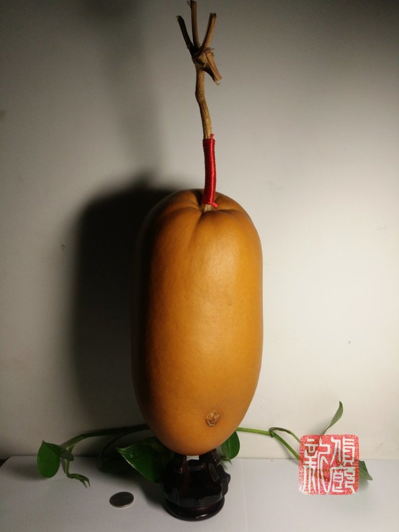 新货廊精品葫芦