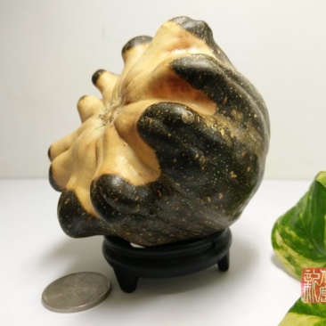 新货廊精品葫芦