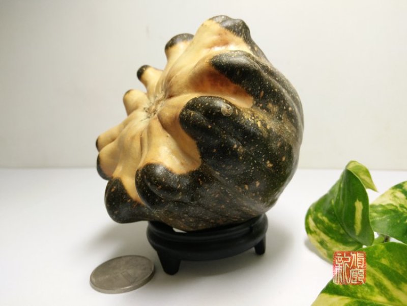 新货廊精品葫芦