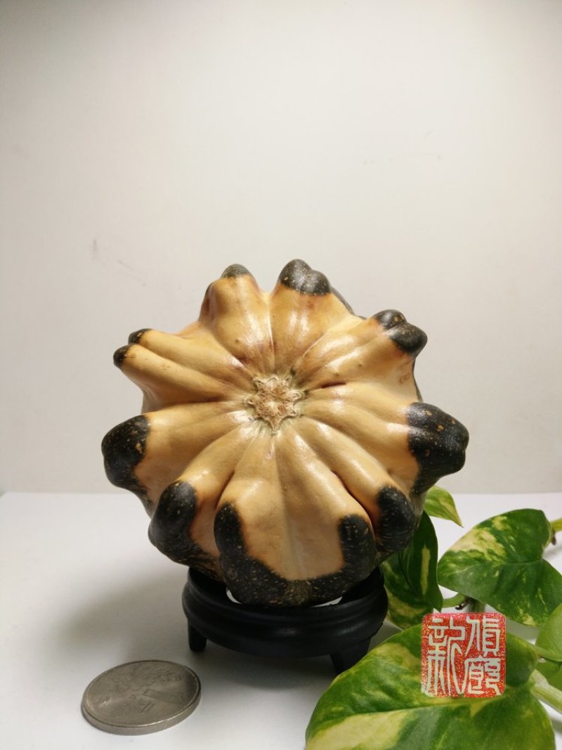 新货廊精品葫芦