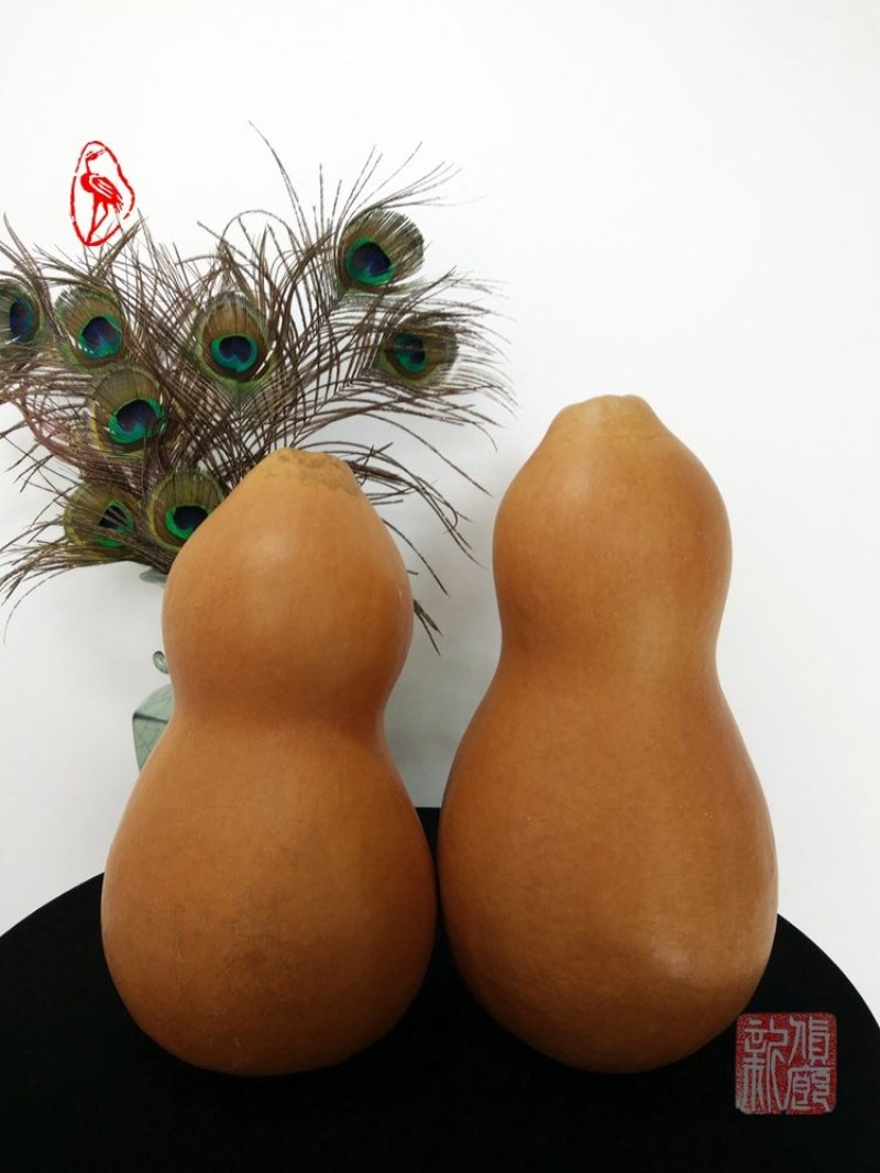 精品葫芦