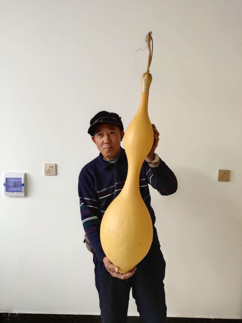 精品葫芦
