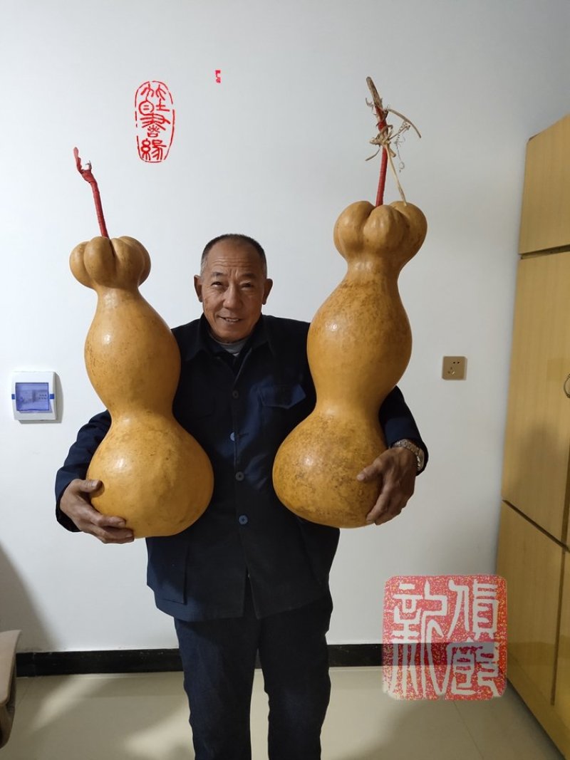 精品葫芦