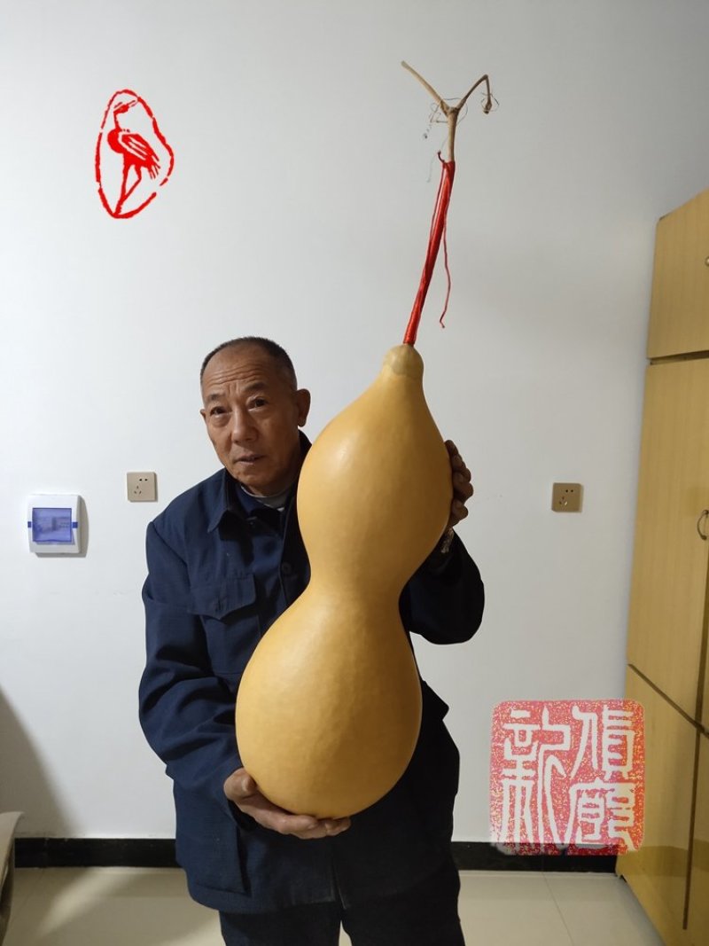 精品葫芦