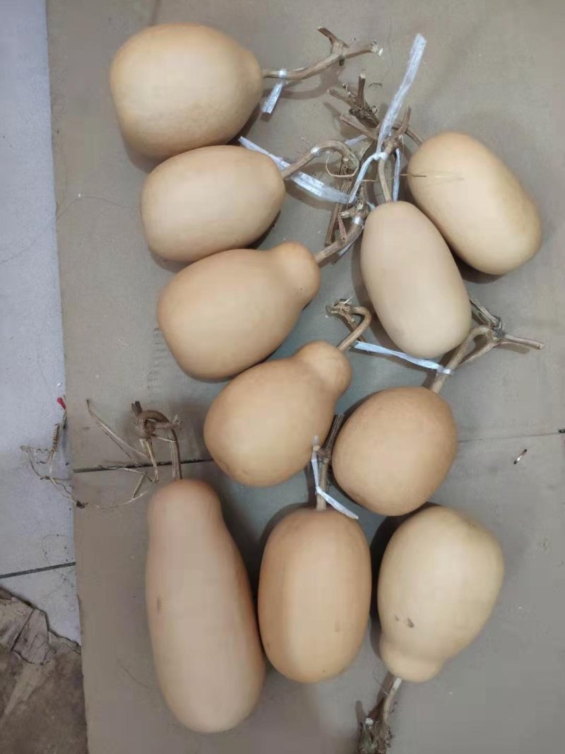 精品葫芦