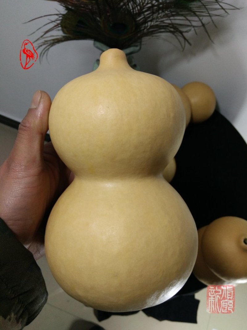 精品葫芦特价处理