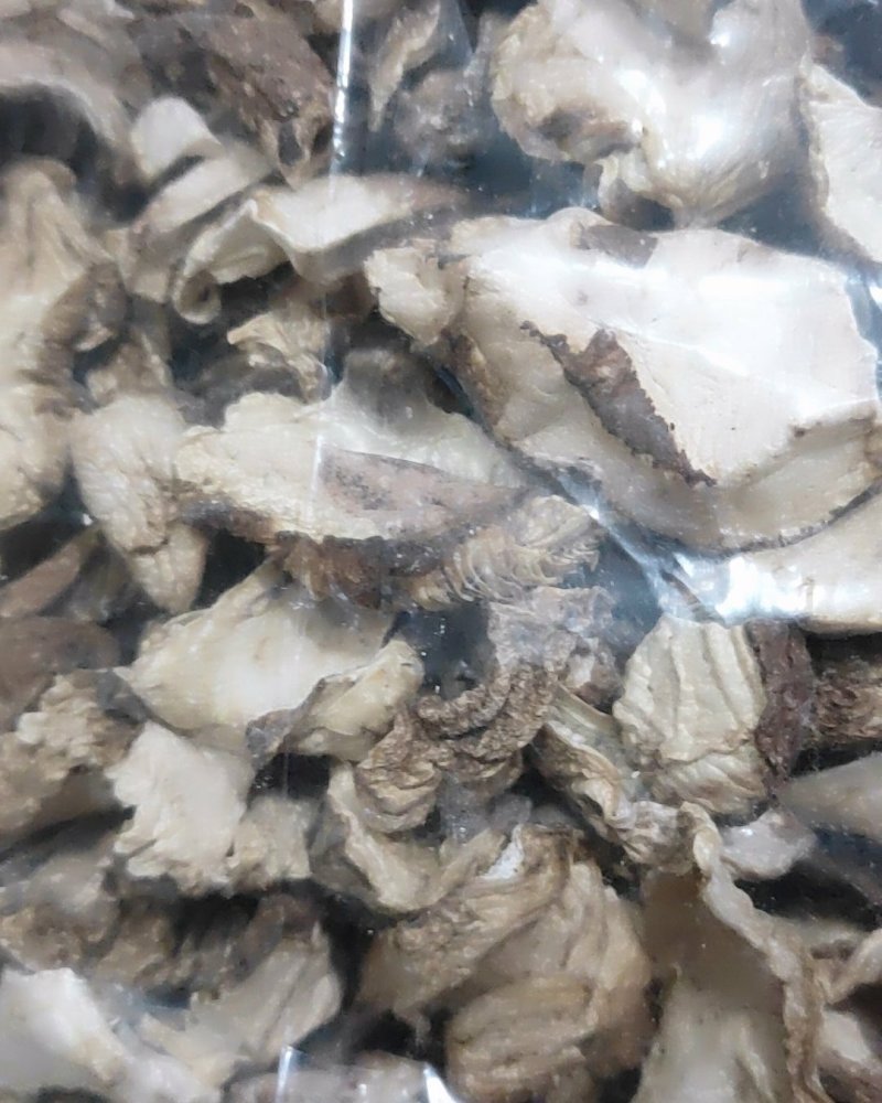 丁土蘑菇，山西吕梁野山蘑菇！