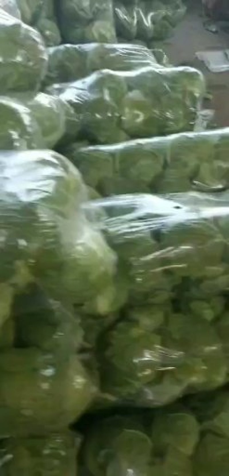 邯郸甘蓝货源充足，质量好。可散装，袋装，冷库打冷。