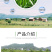 黑麦草种子东牧70黑麦草种四季养殖牧草种子