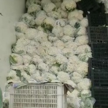 青梗散花，包装齐全，量大质优