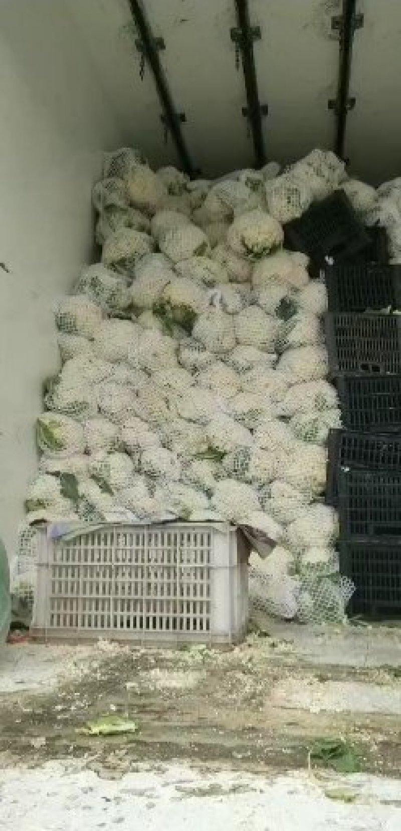 青梗散花，包装齐全，量大质优
