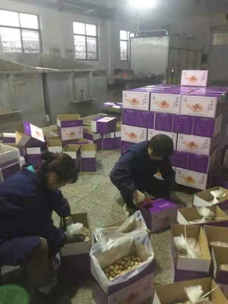 碧根果（进口伊朗）都是新货芽籽便宜处理欢迎咨询