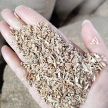 碎小麦新麦养殖专用质优价廉
