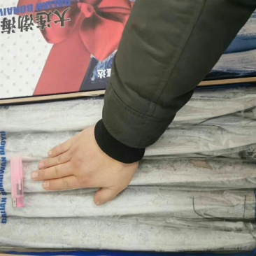 纯大连渤海带鱼