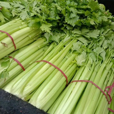 精品芹菜大量上市，质量好，色绿，需用的老板请联糸，