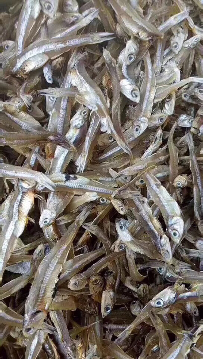 小鱼干无添加自然晒干市场都好卖做法简单又好吃