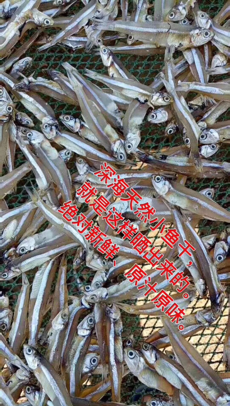 小鱼干无添加自然晒干市场都好卖做法简单又好吃