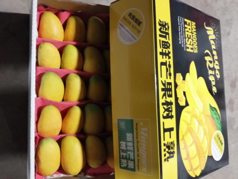 海南小台芒礼盒装