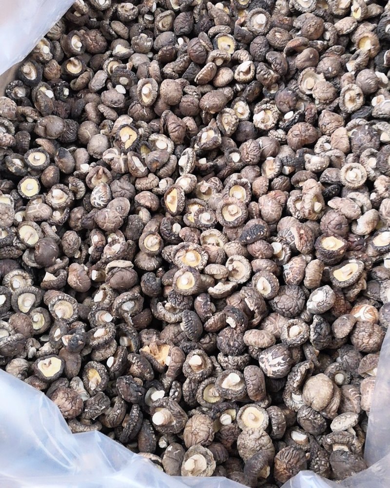南阳春栽冬菇3.0优选特级面菇干香菇/产地直发/可一件代发