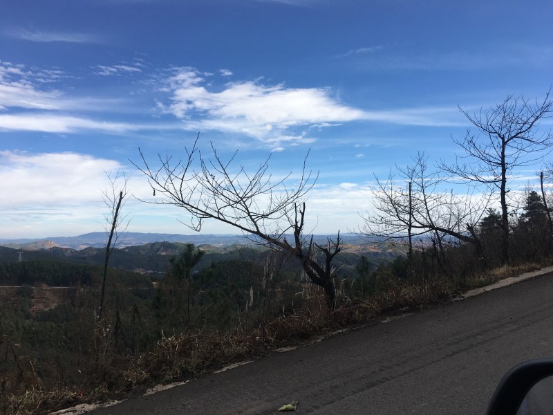 曲靖20亩小型农场出租，适合休闲养老