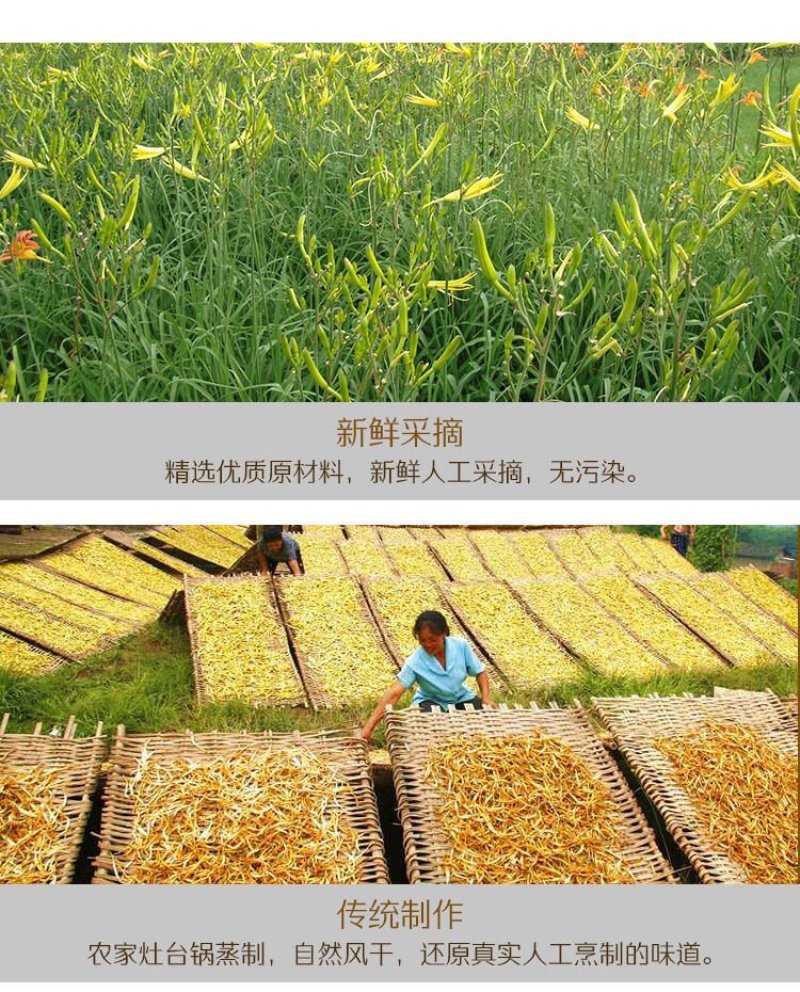 包邮新货黄花菜农家土特产无硫一件代发