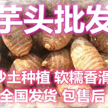 优质芋头毛芋头8520芋头大球中球通货发全国(包售后)