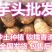 优质芋头毛芋头8520芋头大球中球通货发全国(包售后)