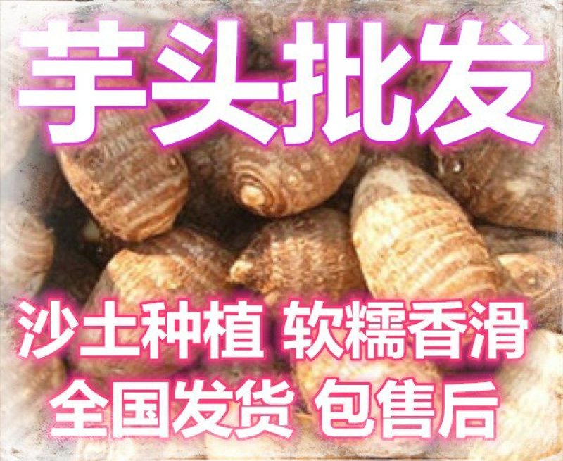 优质芋头毛芋头8520芋头大球中球通货发全国(包售后)