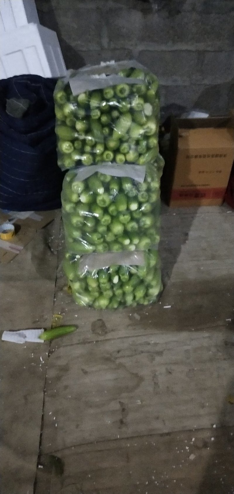 西葫芦角瓜产地直发一手货源充足欢迎咨询