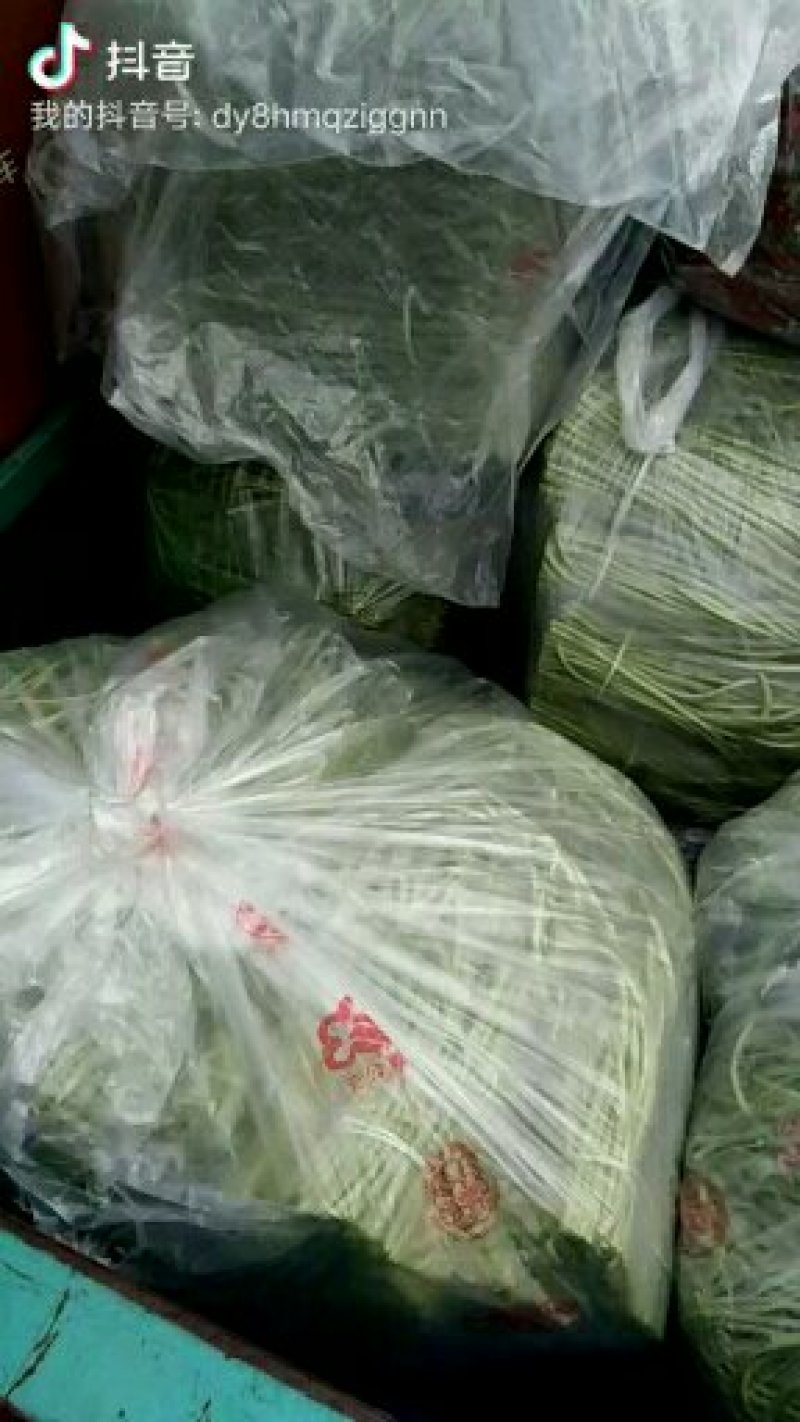 芦蒿，黎蒿精品芦蒿保健菜品营养佳肴