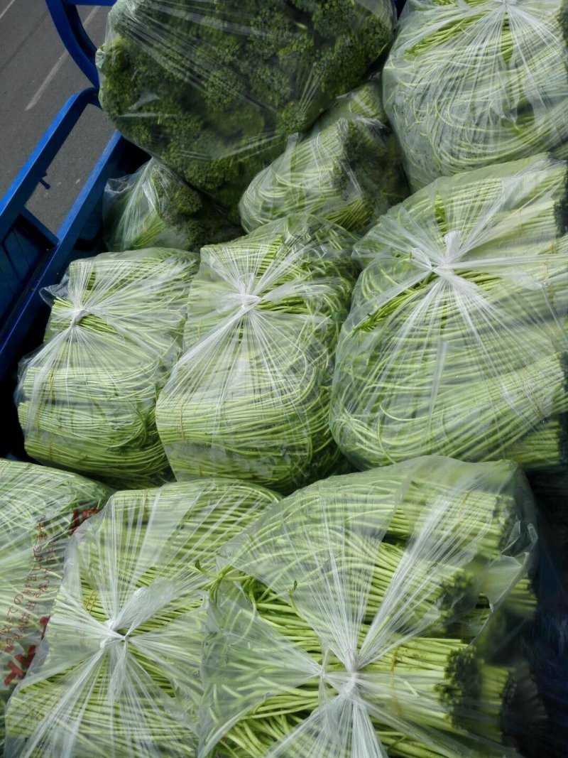 芦蒿，黎蒿精品芦蒿保健菜品营养佳肴