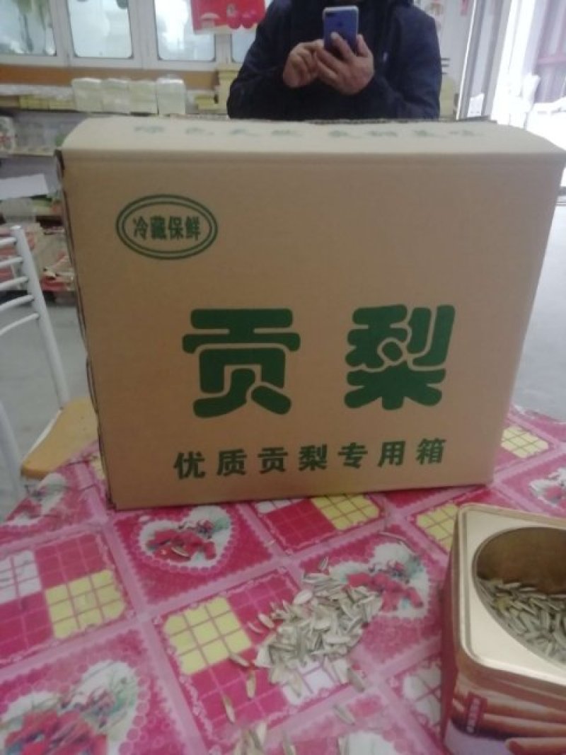 陕西贡梨批发陕西贡梨基地价格酥梨基地价格