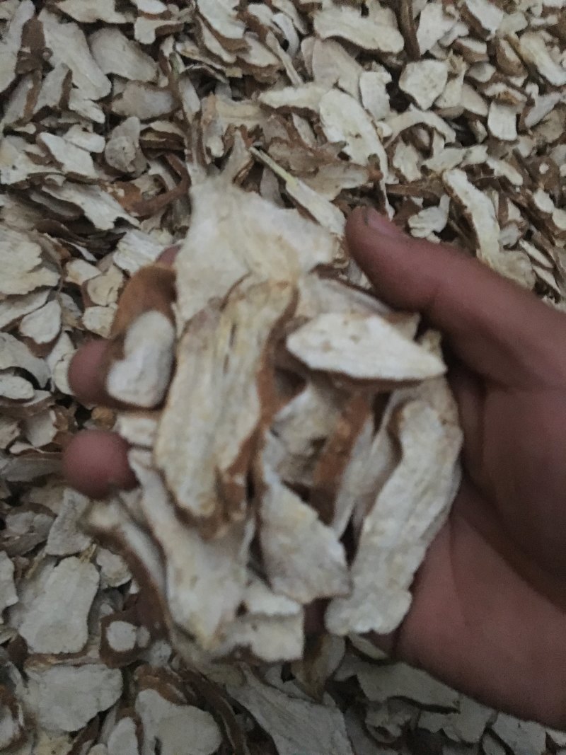 精品白术片价格优惠质量优质