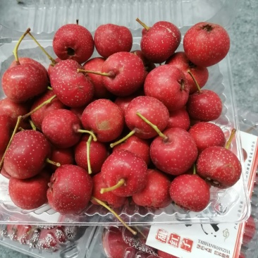 【有好货样品】商超礼品级甜红子山楂基地直供质量稳定合共赢