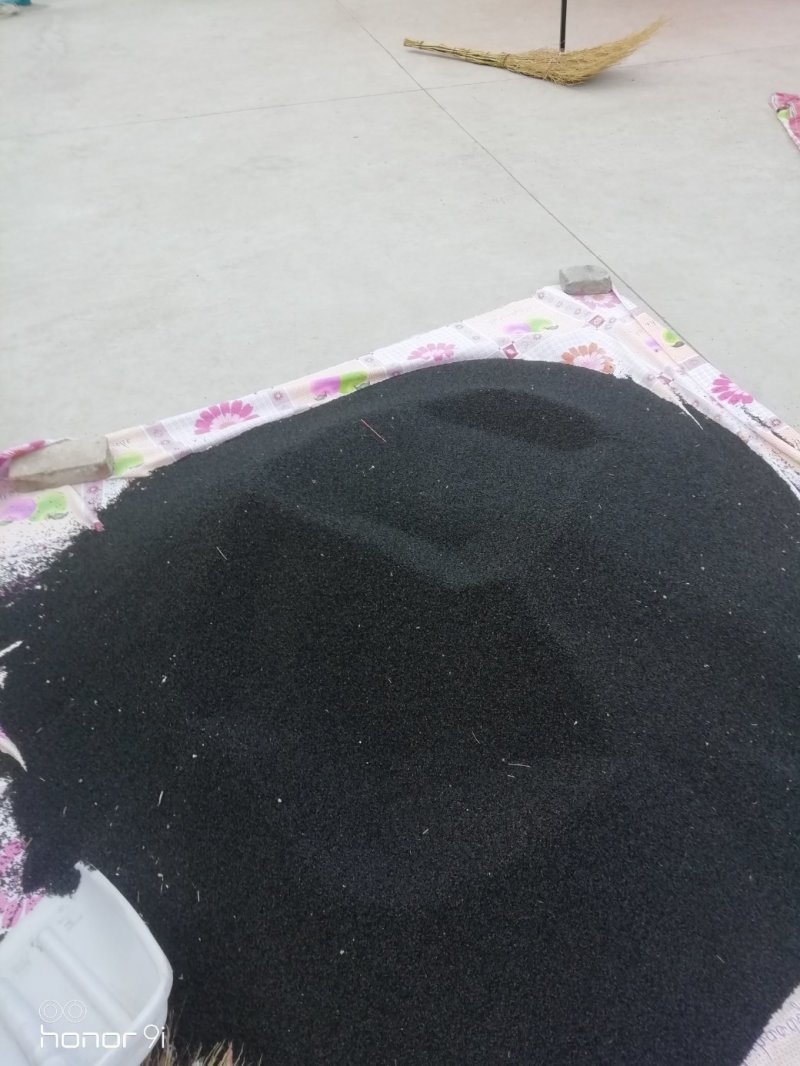 章丘继明八号章丘大梧桐葱种子葱白长抗病性强好种植产量高