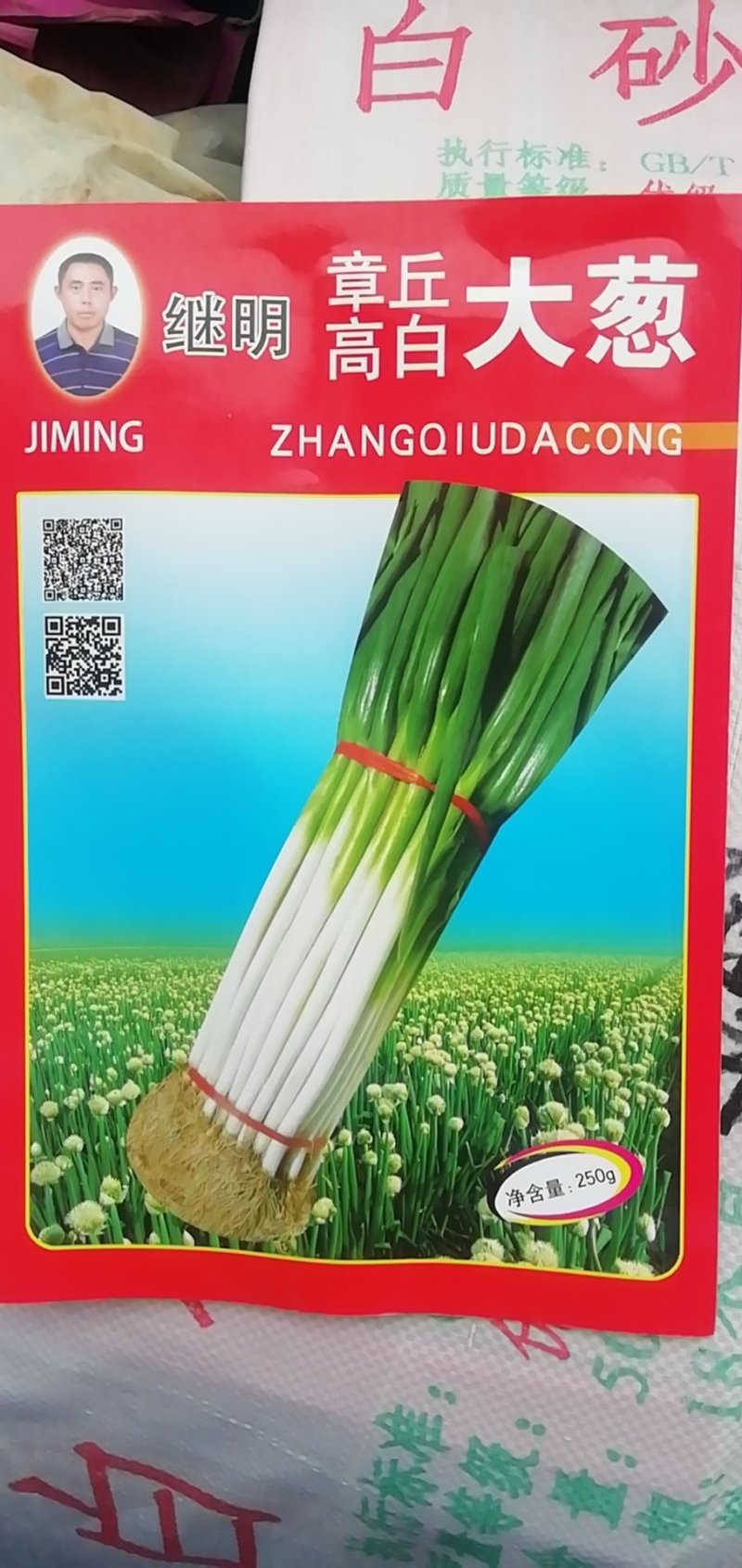 章丘继明八号章丘大梧桐葱种子葱白长抗病性强好种植产量高