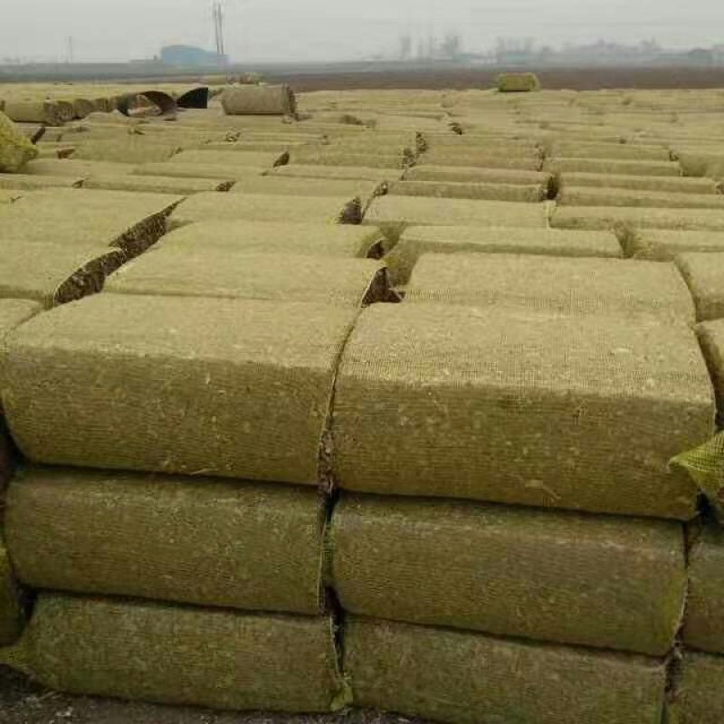 谷草碎草